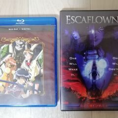 【Blu-ray + デジタルコピー、DVD】アニメ　天空のエス...