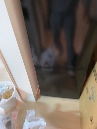 冷蔵庫　使用期間1年未満