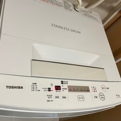 家電 生活家電 洗濯機