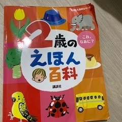 【りこさんお渡し予定のもの】の画像