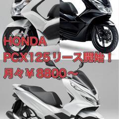 地域最安🎉PCX月々￥8800〜
貸します！！