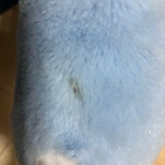 ダンボ ぬいぐるみの画像