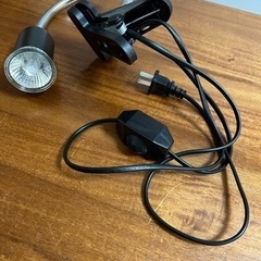 爬虫類赤外線ライトの画像