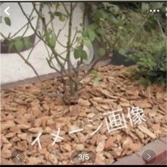 おもちゃ 模型、プラモデルの画像