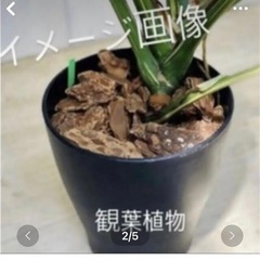 おもちゃ 模型、プラモデルの画像