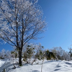 愛知近郊で登山仲間募集⛰️