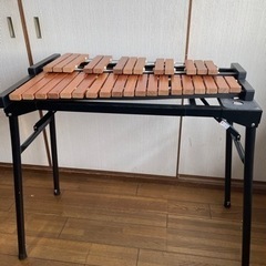 楽器　木琴　こども用の画像