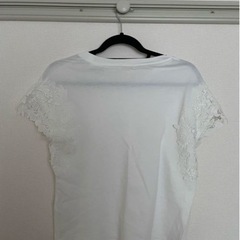 Tシャツ レディース③の画像