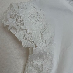 Tシャツ レディース③の画像