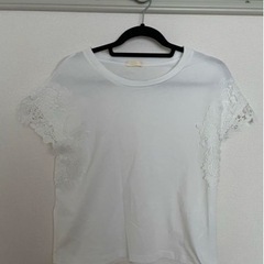 Tシャツ レディース③