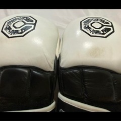 スポーツ 武道、格闘技 ボクシングの画像