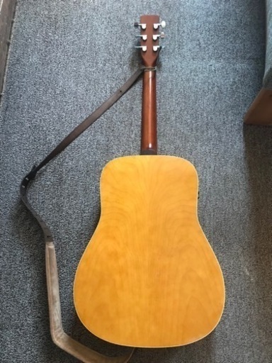 Norman Protege B18 Cedar アコースティック/エレクトリックギター