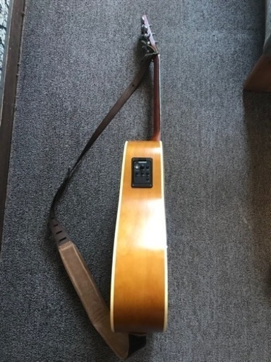 Norman Protege B18 Cedar アコースティック/エレクトリックギター