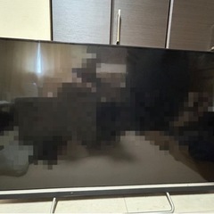 家電 テレビ 液晶テレビ 55インチ