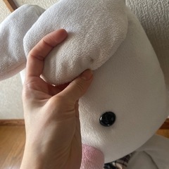 ぶたうさぎ　　美男ですねの画像