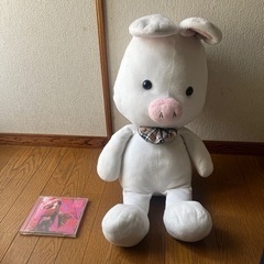 ぶたうさぎ　　美男ですね