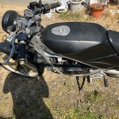 バイク スズキの画像