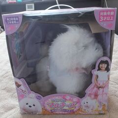 まるで本物そっくり☆おもちゃ☆プリンセスマルチーズの画像