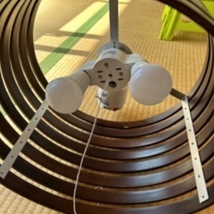 照明の画像