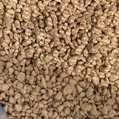 幅31.5cm水槽  底面フィルター 底砂　　 の画像