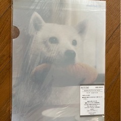 クリアファイル2枚の画像