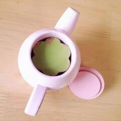 マザーガーデン　写真2の画像