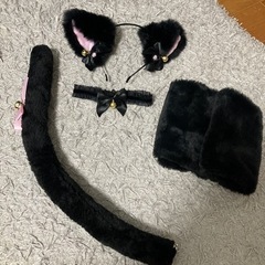 仮装、ねこ