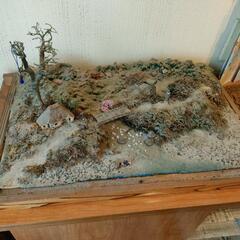ジオラマ　箱庭
