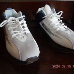 スニーカー（男性用） 25.0 　白　新品同様です。