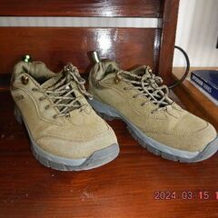 緑色のスニーカー（男性用）、25.0サイズ　使用感少しあり