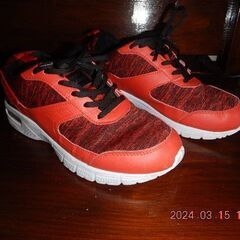 赤に黒に線の入ったスニーカー（男性用）、25.0サイズ　使用感が...