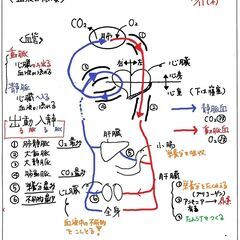 苦手教科で80点を突破したい中学生へ！の画像