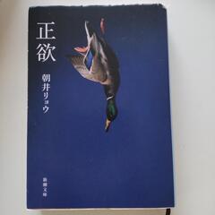 正欲