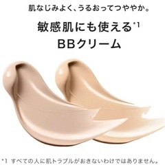 ラロッシュポゼBB02   の画像