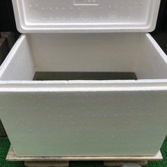 ミナミヌマエビ+タニシ