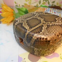 新品未使用15.000円 沖縄三線専用 盛嶋風蛇皮強化(二重