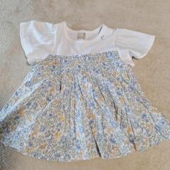 プティマインセットアップの画像