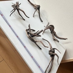 アクア用品　流木1つ250円でいかがですか？