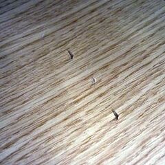 ☆本棚 書棚 スライド棚付き 幅900mm 奥行290mm 高さ1800mm 上下分割タイプ ブックシェルフ 木目調 札幌 北20条店の画像