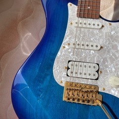 【値下げ】パシフィカ　入門書とコード表付の画像