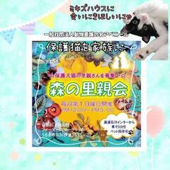 雨予報のため中止となりました:4月7日森の里親会開催