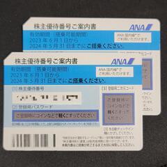 ANA 全日空 株主優待優待券 2枚 有効期限2024/05/31