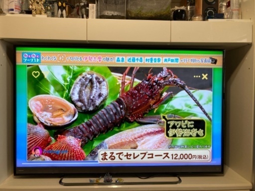 テレビREGZA58インチ