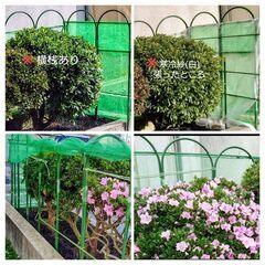 《DAISO》園芸用🏡連結アーチ支柱／１本✨未使用品の画像
