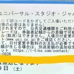 ユニバーサルチケット　大人の画像