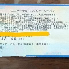 ユニバーサルチケット　大人