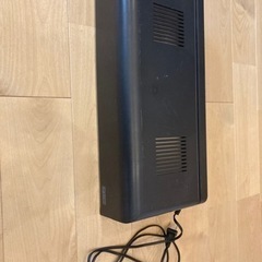 爬虫類ライト