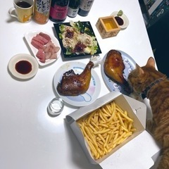 ボドゲ、猫ちゃん、お酒が好きな人！！ - メンバー募集