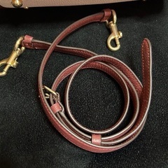 coachテンプシートミニショルダーバッグ財布付きの画像