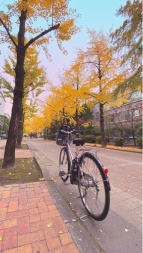 電動自転車 Yamaha PAS CITY 2021年モデル